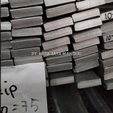 Strip Stainless 4x50 Strip Stainless 4x50
