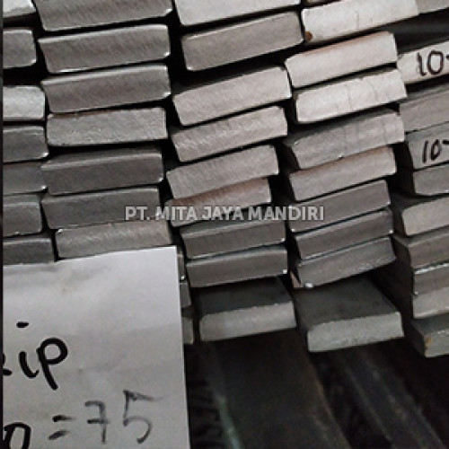 Strip Stainless 5x30