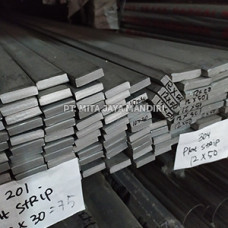 Strip Stainless 5x50 Strip Stainless 5x50